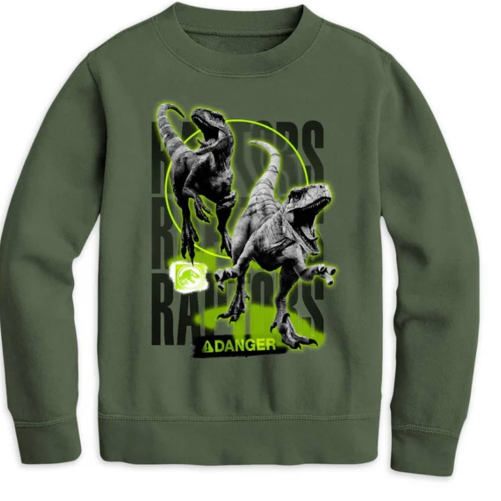 Boys Jurassic World Dominion Raptor Dinosaur Movie Sweatshirt NWT Youth LARGE
